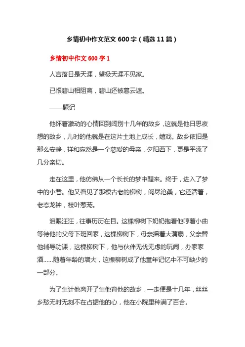 乡情初中作文范文600字(精选11篇)