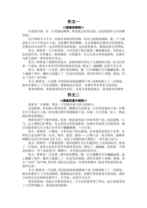 我家的树林300字作文