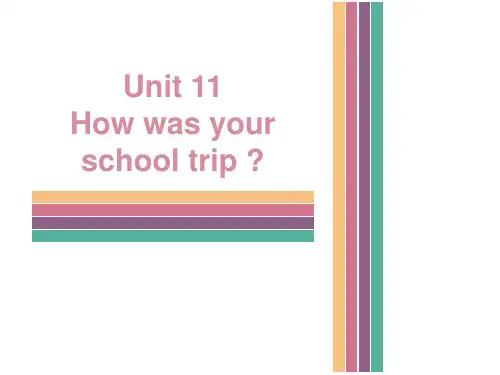人教版七年级英语下册Unit11Howwasyourschooltrip单元复习