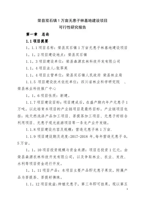 万亩无患子产业基地可行性分析报告