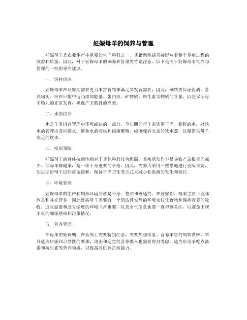 妊娠母羊的饲养与管理