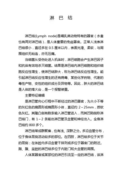 淋巴结介绍