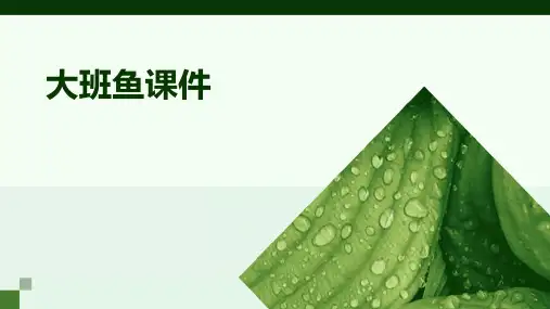大班鱼课件ppt