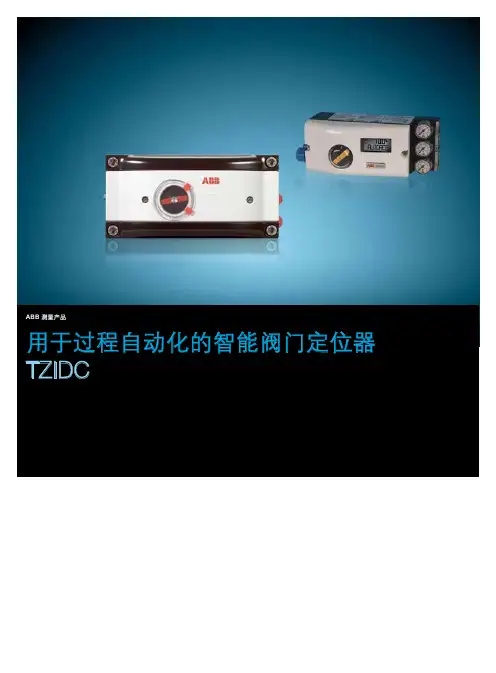 2012中文版的ABB TZIDC定位器选型样本.pdf