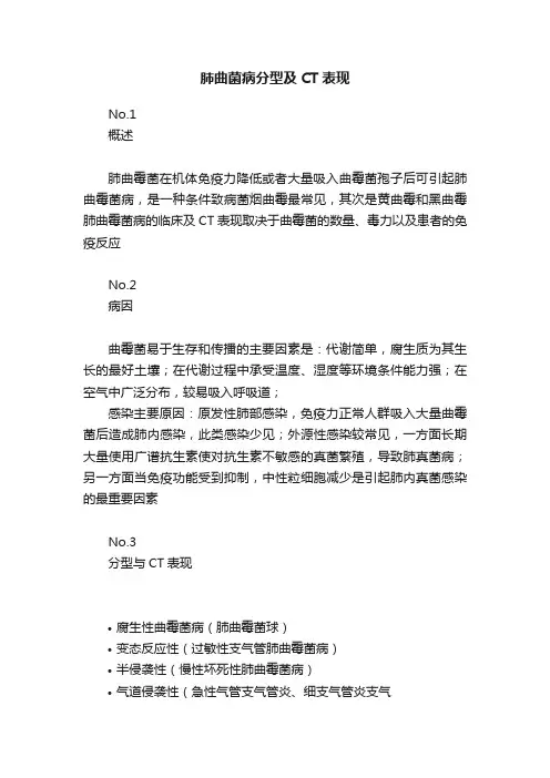 肺曲菌病分型及CT表现