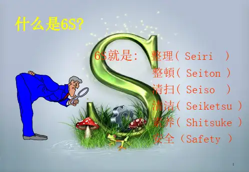 6S管理培训资料精编版