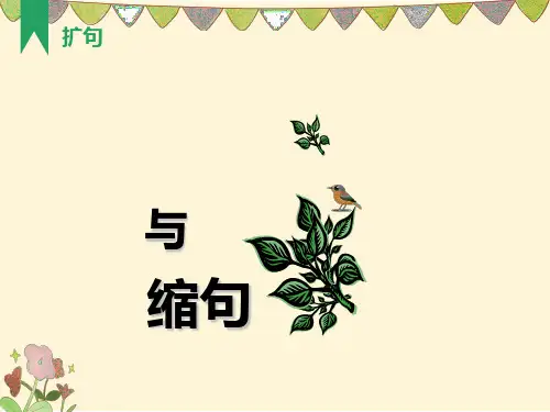 四年级扩句与缩句复习