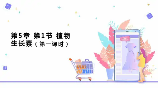 人教版生物选择性必修一5.1-植物生长素-课件