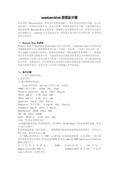 westernblot原理及步骤
