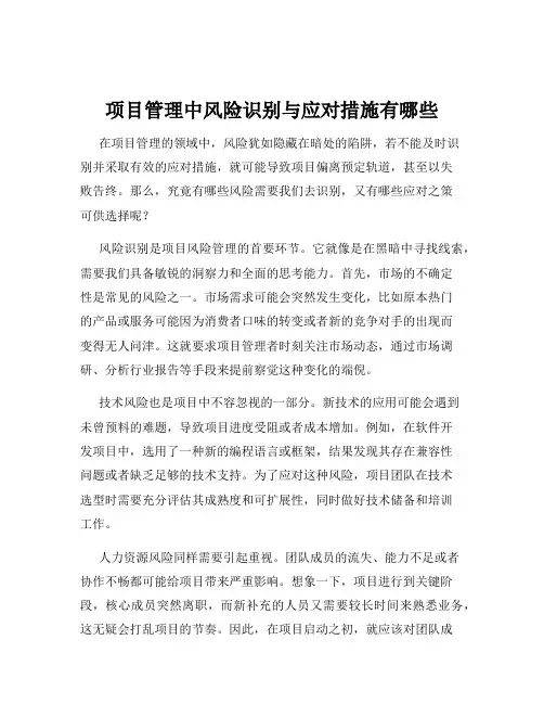 项目管理中风险识别与应对措施有哪些