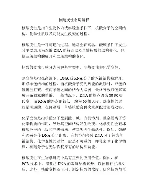 核酸变性名词解释