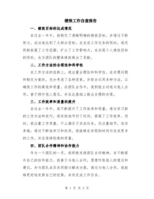 绩效工作自查报告