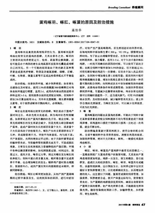 蛋鸡啄羽、啄肛、啄蛋的原因及防治措施