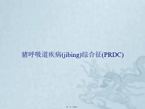 杨汉春猪呼吸道疾病综合征(PRDC)