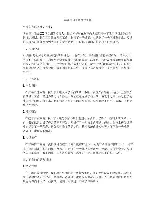 谋划项目工作情况汇报