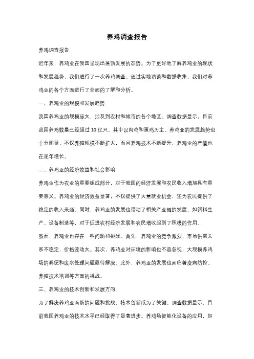 养鸡调查报告