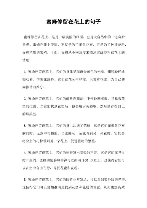 蜜蜂停留在花上的句子