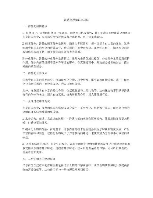 洋葱物理知识点总结