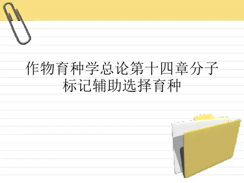 作物育种学总论第十四章分子标记辅助选择育种