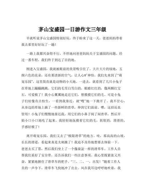 茅山宝盛园一日游作文三年级