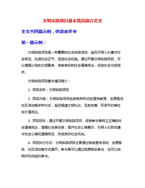 文明实践项目基本情况简介范文