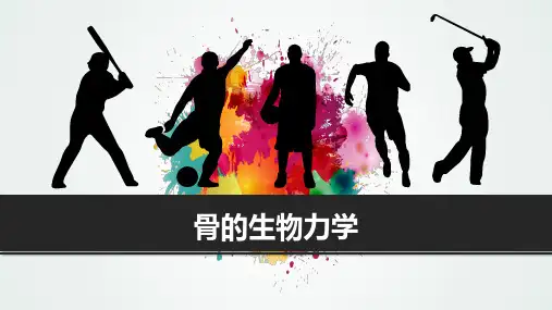 骨的生物力学