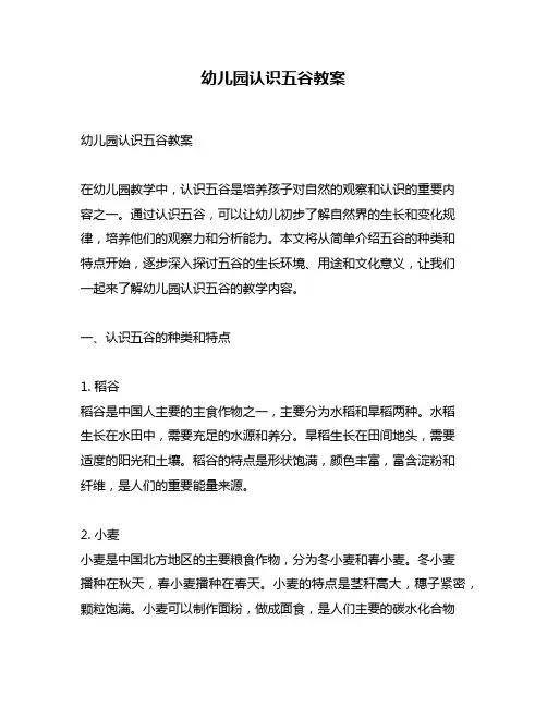 幼儿园认识五谷教案