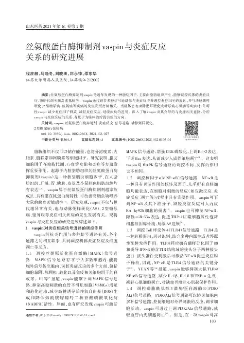 丝氨酸蛋白酶抑制剂vaspin与炎症反应关系的研究进展
