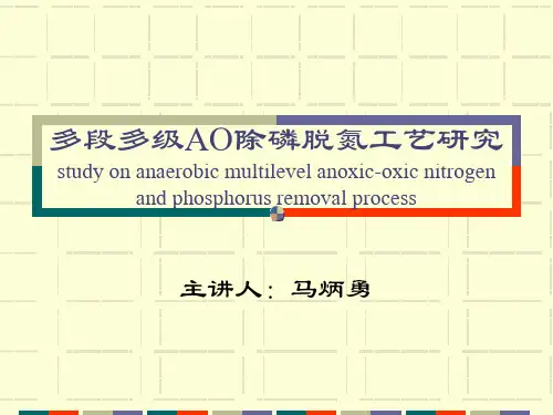 多段多级AO除磷脱氮工艺研究