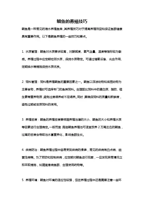 鲷鱼的养殖技巧