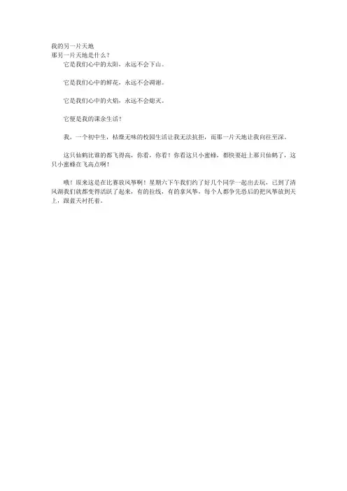 我的另一片天地