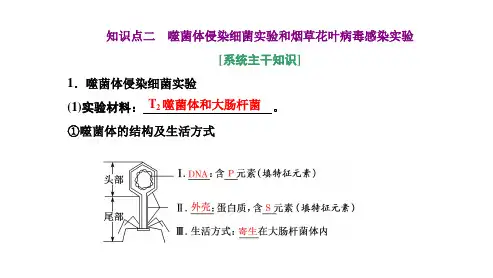 6.1.2噬菌体侵染细菌的实验和烟草花叶病毒感染实验