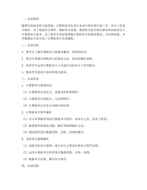计算机审计的实训报告