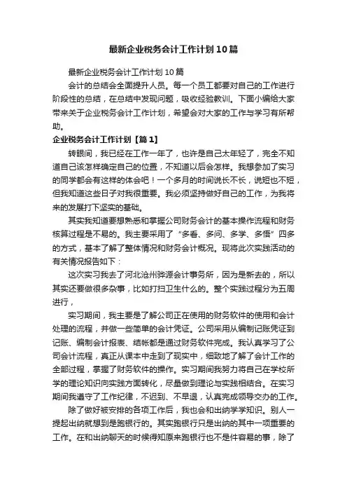 最新企业税务会计工作计划10篇