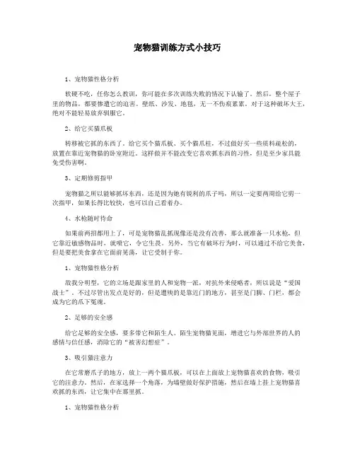 宠物猫训练方式小技巧