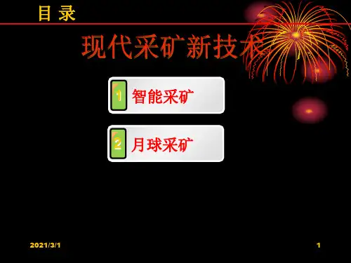 世纪现代化前瞻性采矿新技术概述PPT精品课件