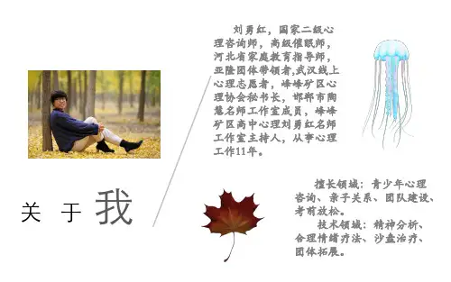 班主任心理技术专题培训+ppt