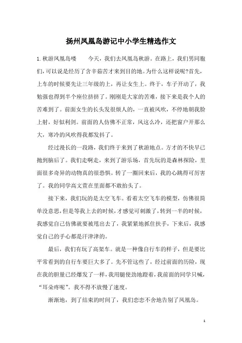 扬州凤凰岛游记中小学生精选作文
