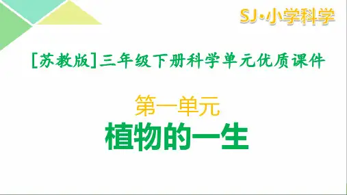 苏教版三年级下册科学全册全套课件(1-5单元)