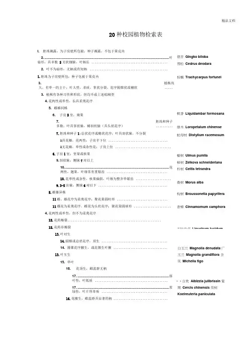 20种校园植物检索表
