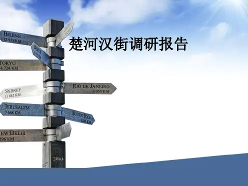 楚河汉街调研报告。