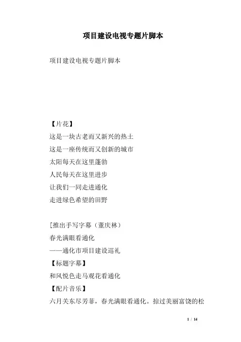 项目建设电视专题片脚本