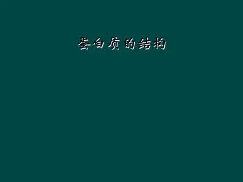 蛋白质的结构