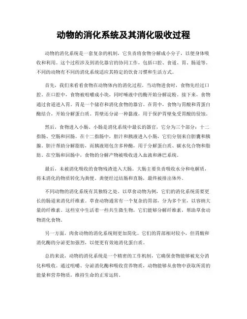 动物的消化系统及其消化吸收过程