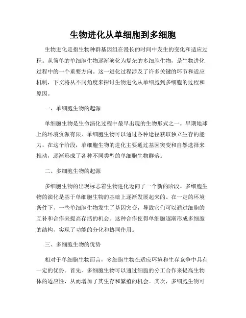 生物进化从单细胞到多细胞