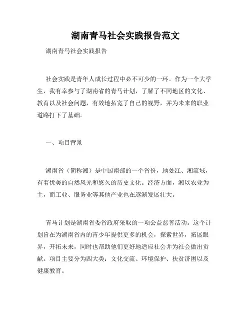 湖南青马社会实践报告范文