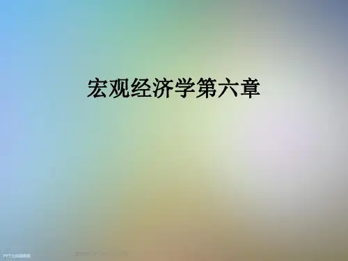 宏观经济学第六章