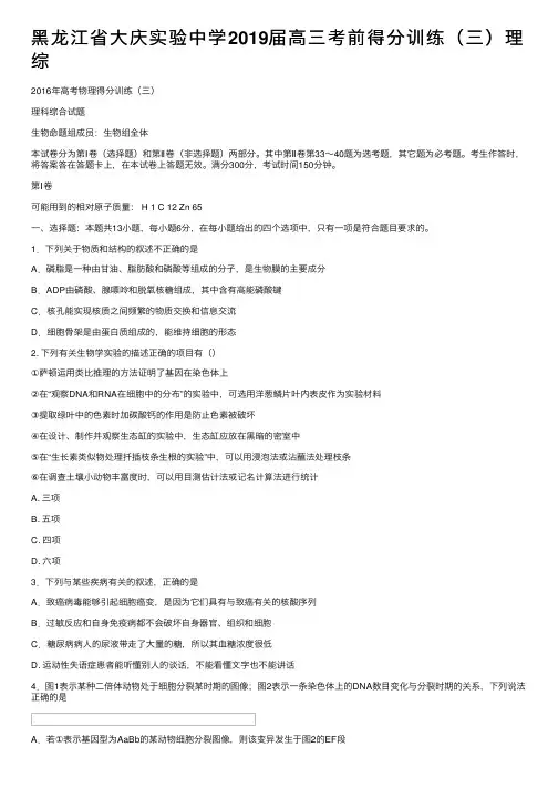 黑龙江省大庆实验中学2019届高三考前得分训练（三）理综