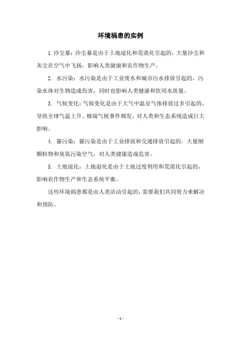 环境祸患的实例