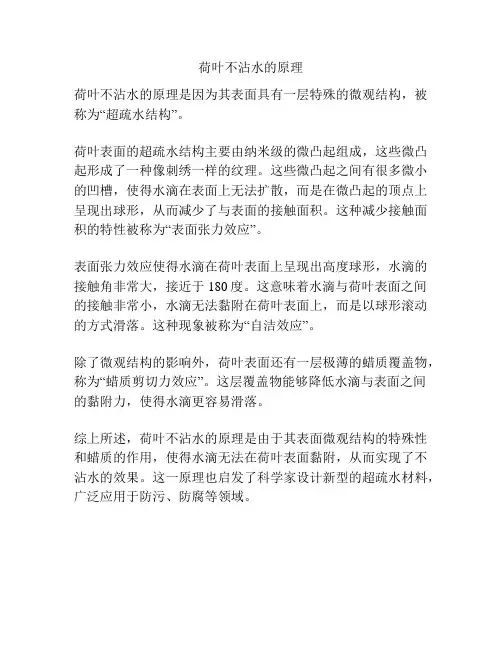 荷叶不沾水的原理